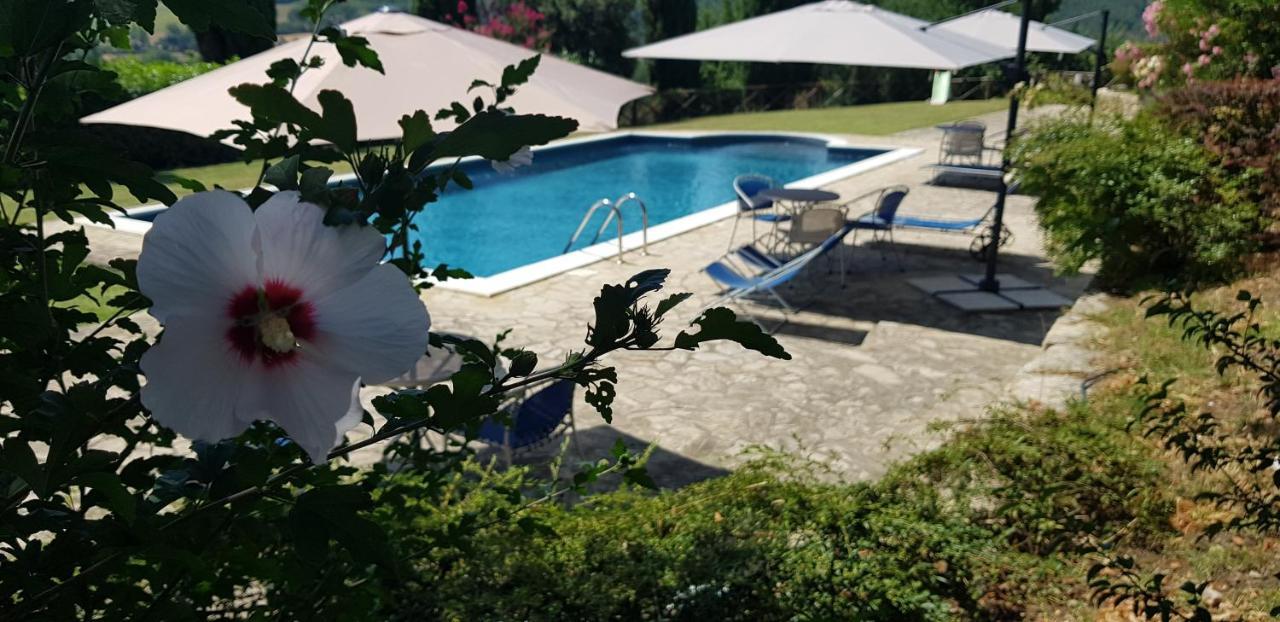 Case In Campagna Con Piscina A Todi Ngoại thất bức ảnh